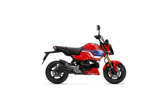 Honda Grom MSX125 als kompaktes 125ccm Motorrad