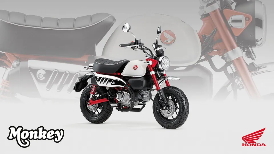 Honda Monkey Z125 – kompaktes Minibike mit LED-Beleuchtung